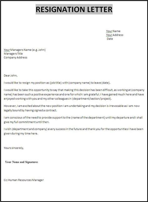 Professional Resignation Letter 29 Examples Format Sample Examples