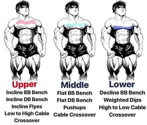 Chest Workout Upper Chest Middle Chest Lower Chest Workout Chest Workout Guide Chest