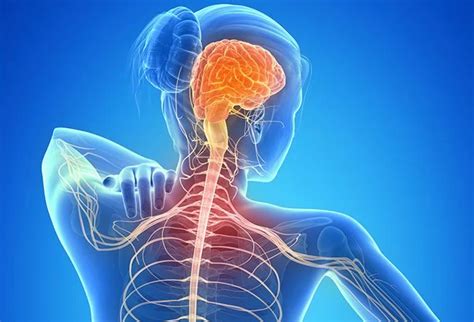 A Pinched Nerve In The Neck Cause Symptoms Treatment Mobile
