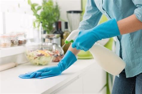 Tips Membersihkan Dapur Paling Ampuh Dan Efektif Bleecopper