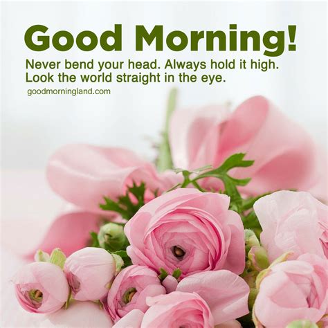 Most Downloaded And Good Morning Blessed Quotes With Wishes Good