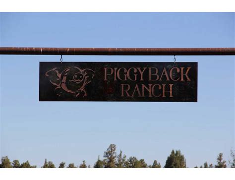 Smw262 Custom Metal Business Ranch Logo Sign Piggyback