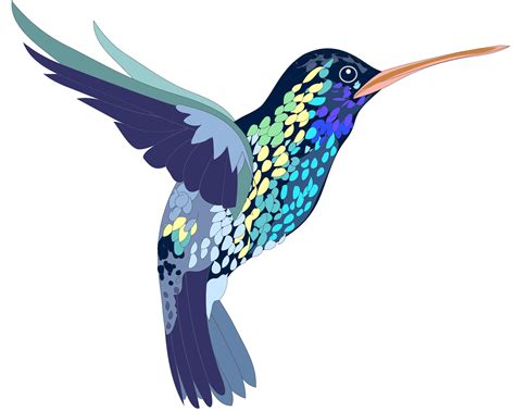 Hummingbird Clip Art Svg