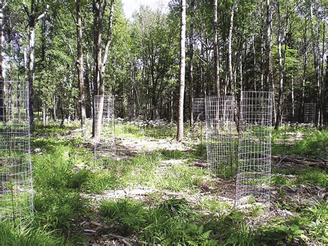 An electric fence might work against the deer, but i've heard that it needs to be at least 8′ tall because if it is shorter the deer can jump it easily. Deer fencing available for North Shore landowners ...