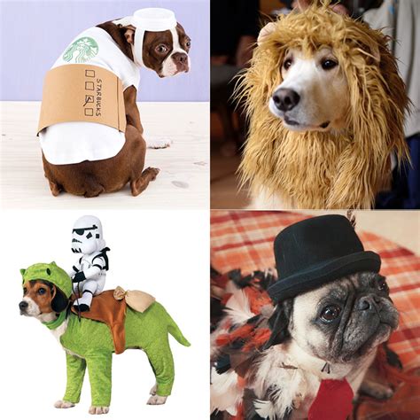 Funny Halloween Costumes For Dogs