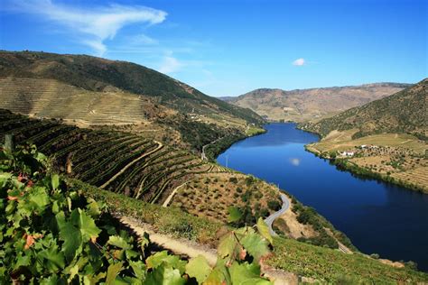 Douro Valley Wine Tour Visit To Three Vineyards Portugal By Wine
