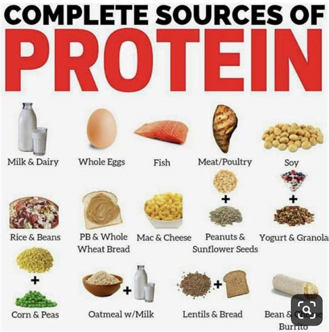 Protein Food List