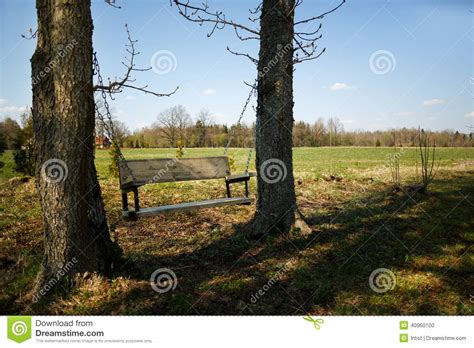 Comfortable Swing Bench Between Two Trees Stock Photo