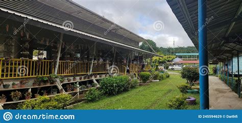 A Rural Primary School In Sabah Malaysia Editorial Stock Image