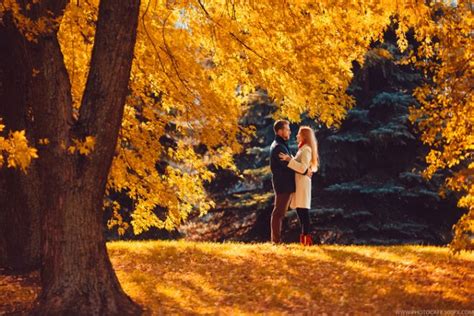Осень Любовь Картинки Красивые Telegraph