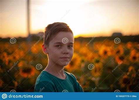 Portrait Of Beautiful Blond Kid Boy On Summer Sunflower Field Stock
