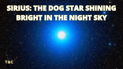 Sirius The Dog Star Shining Bright In The Night Sky Youtube