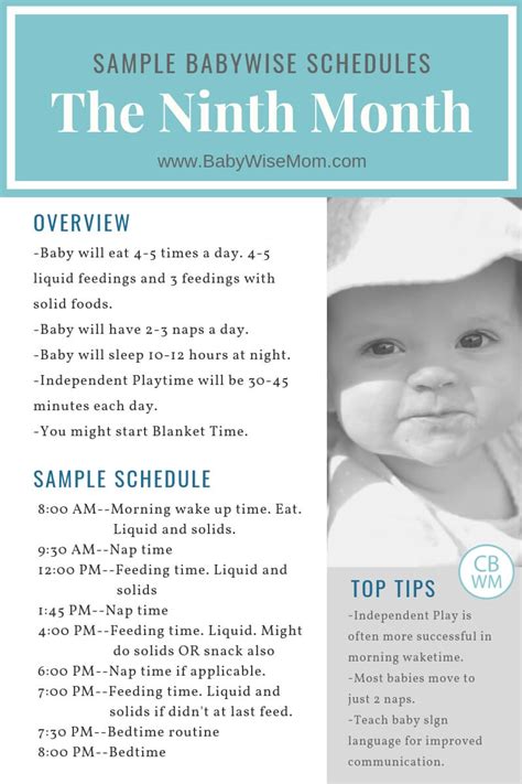On an average this is the amount of food your 9 month old may be having in a day. Babywise Sample Schedules: The Ninth Month - Babywise Mom