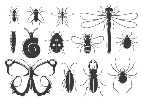 Insects Set In Flat Style Line Art Bugs Icon Collection 617025 Vector