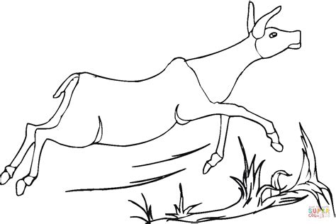 Antelope Runs coloring page | Free Printable Coloring Pages