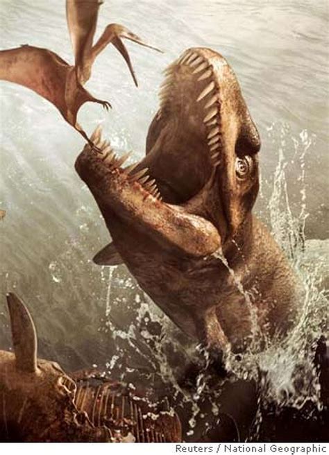A Prehistoric Croc Named Godzilla Extinct Sea Creature Wasn T Nice At All The Top Ocean