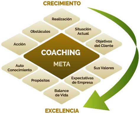Herramientas Diagnostico De Coaching Ejecutivo Coaching Exito