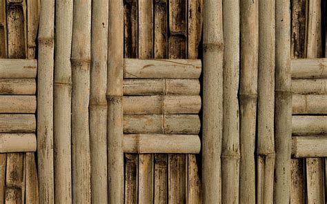 Bamboo Texture Bamboo Bamboo Texture Photo Background Textured