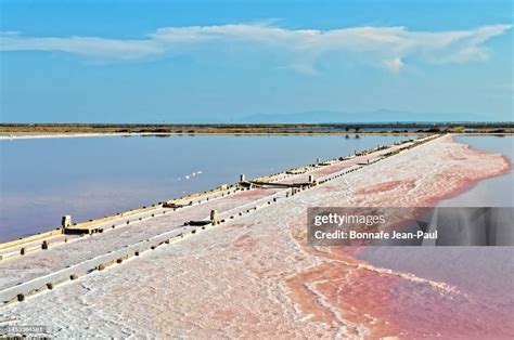Gruissan Salt Marshes In Morning Light High Res Stock Photo Getty Images