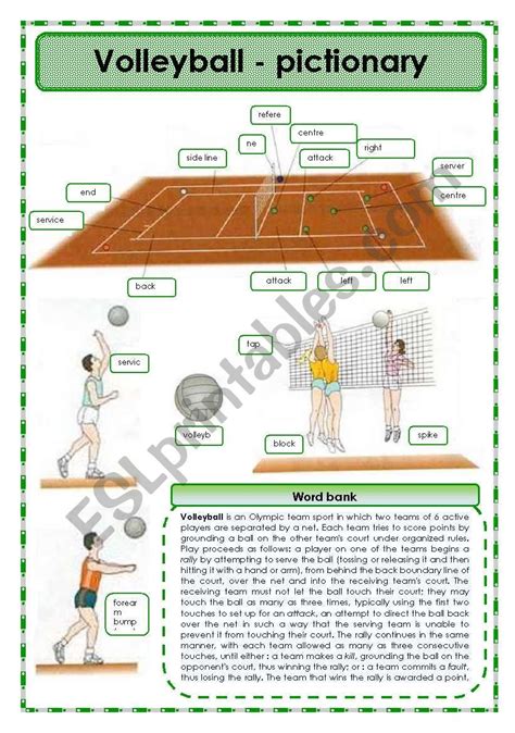 Volleyball Pictionary Esl Worksheet By Oppilif Volleyball