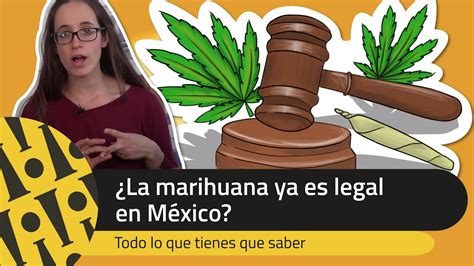 ¿la Marihuana Ya Es Legal En México Todo Lo Que Debes Saber Youtube