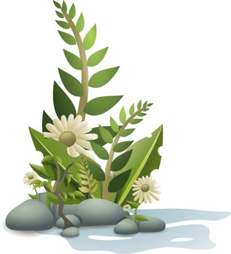 Free Plant Clipart Png Download Free Plant Clipart Png Png Images