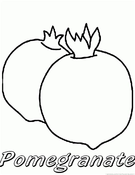 Pomegranate Coloring Page Coloring Pages