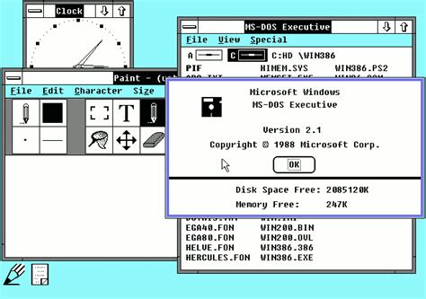 Picture Of Windows 21x