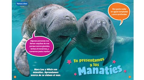 We offer translations from malay to spanish of web sites, advertising material, personal correspondence, sworn translations, medical, pharmaceutical, legal, economic, research, sports, photographic, subtitling, techniques, science, literary, studies, film and theatre translations. Meet the Manatees - Spanish Translation - NWF | Ranger Rick