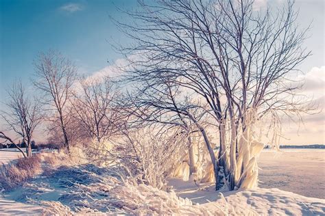 Snow Photography Tips How To Photograph And Edit Snowy Scenes