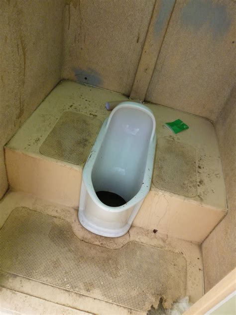 相模川汲み取り式公衆トイレ shirokuma bihitasu的トイレガイド。˙ᴥ˙