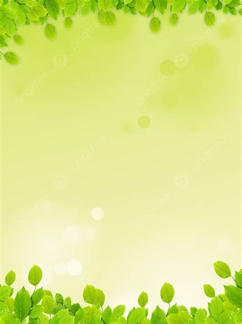 Green Simple Spring Small Fresh Aesthetic Background Wallpaper Image