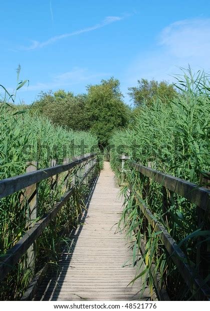 Wooden Walkway Across Wetlands Nature Reserve Stock Photo 48521776