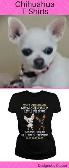 Ptsd Chihuahua Meme Template Pets Lovers