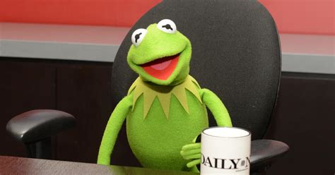 Kermit The Frog Gets New Voice For First Time In 27 Years