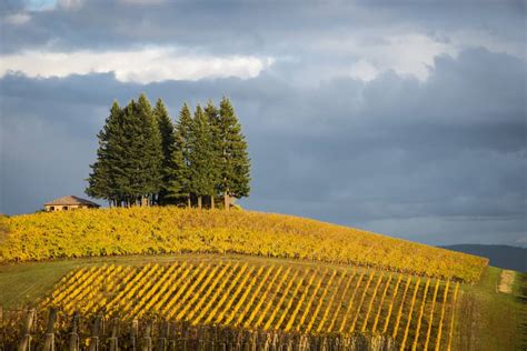 The 10 Best Willamette Valley Wineries To Visit In 2021