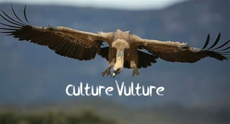 Culture Vulture