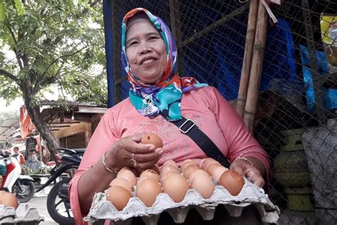 Benarkah Kenaikan Harga Telur Dan Ayam Adalah Siklus Tahunan Kilat