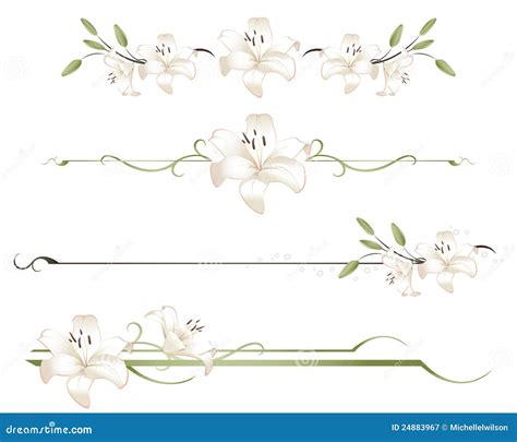 Lily Divider Lines Stock Vector Illustration Of Copy 24883967