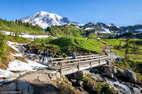 Paradise Mount Rainier Earth Trekkers