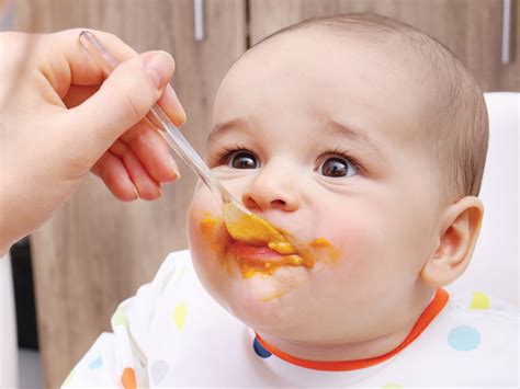 How Old Should Babies Be To Eat Baby Food Baby Viewer