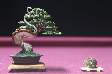 Ghim của Jun Navarro trên Bonsai