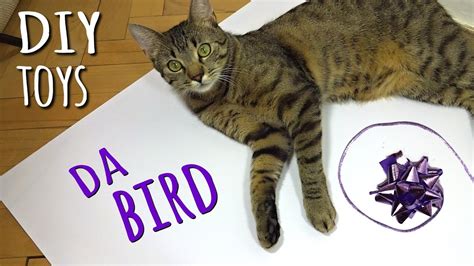For full review and shopping. DIY CAT TOYS: Da Bird - YouTube
