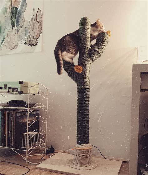 For those who place aesthetics over just about. CACTUS for CATS | CATCUS | Scratching Post | Cat Tree ...
