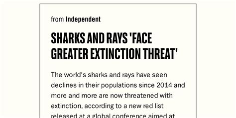 Sharks And Rays Face Greater Extinction Threat Briefly
