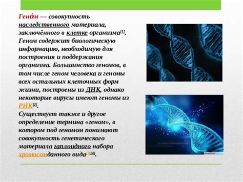 Исследовательский проект Геном человека Биология 11 класс