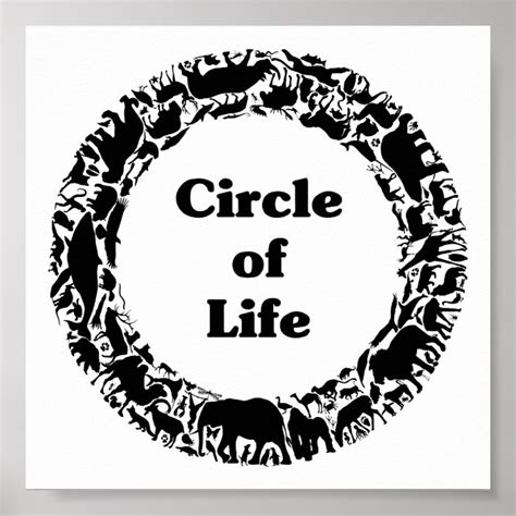 Circle Of Life Poster Zazzle