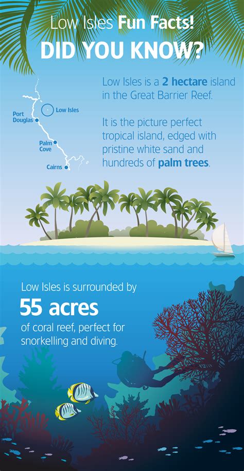 Fun Facts About The Ocean All You Need Infos