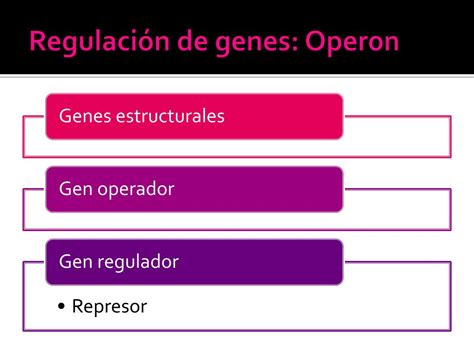 Ppt Genes Estructura Y Función Powerpoint Presentation Free