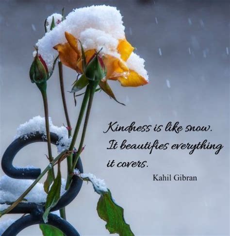 Kindness Is Like Snow It Beautifies Everything It Covers Flower